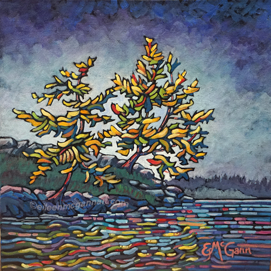 mackenzie beach